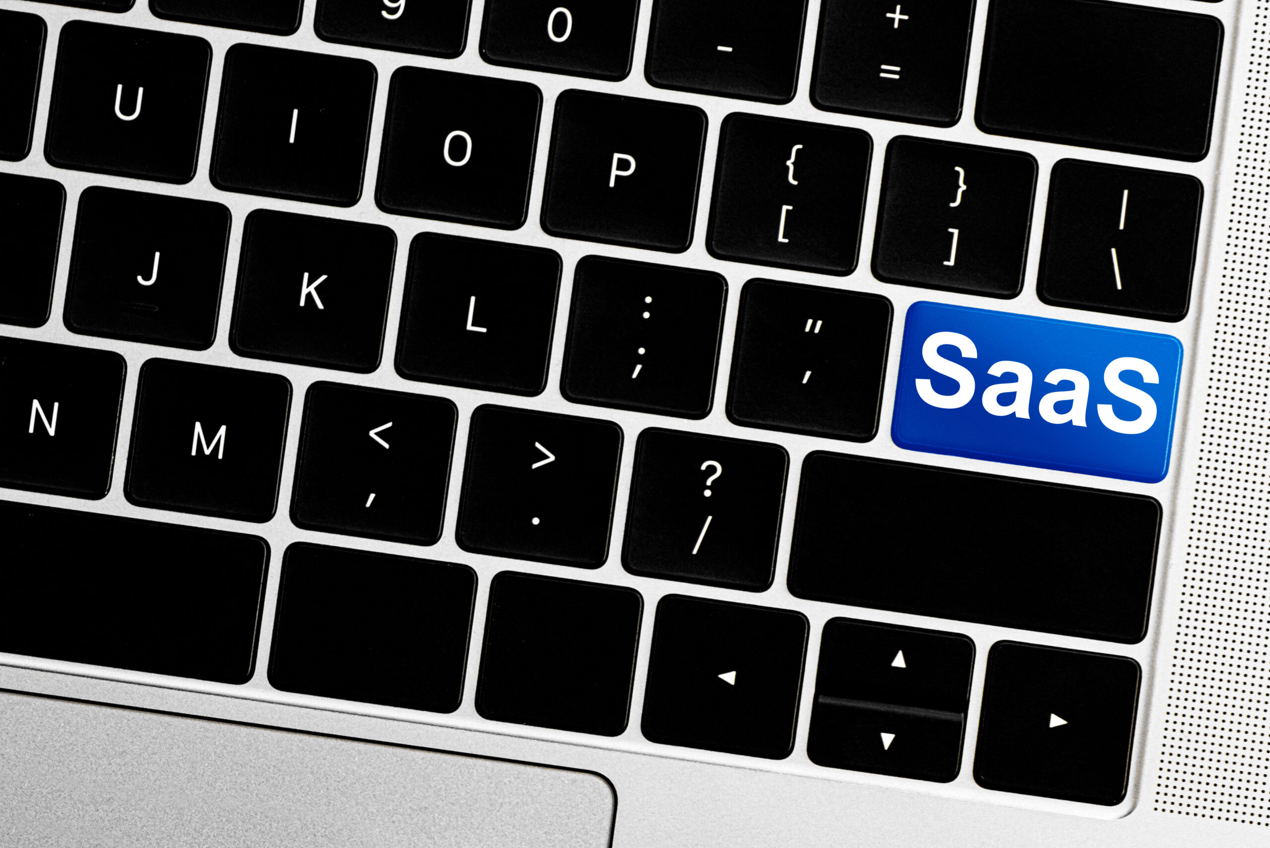 image post Why Tapping Into SaaS Software Development Services Is Increasingly Important